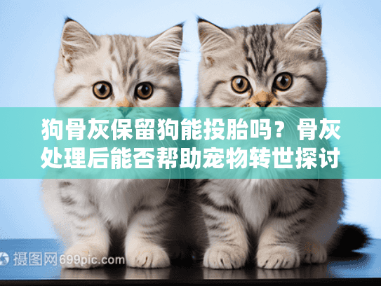 狗骨灰保留狗能投胎吗?骨灰处理后能否帮助宠物转世探讨 狗骨灰保留狗能投胎吗?骨灰处理后能否帮助宠物转世探讨