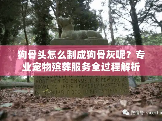 狗骨头怎么制成狗骨灰呢？专业宠物殡葬服务全过程解析