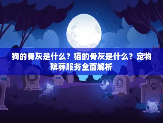 狗的骨灰是什么？猫的骨灰是什么？宠物殡葬服务全面解析
