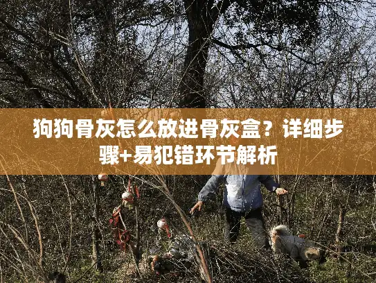 狗狗骨灰怎么放进骨灰盒?详细步骤+易犯错环节解析 狗狗骨灰怎么放进骨灰盒?详细步骤+易犯错环节解析