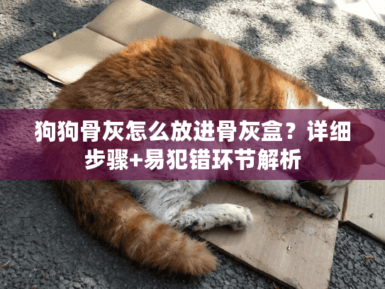 狗狗骨灰怎么放进骨灰盒?详细步骤+易犯错环节解析 狗狗骨灰怎么放进骨灰盒?详细步骤+易犯错环节解析