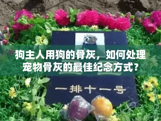 狗主人用狗的骨灰，如何处理宠物骨灰的最佳纪念方式？