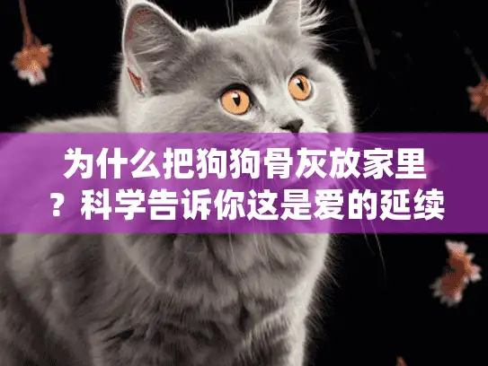 为什么把狗狗骨灰放家里？科学告诉你这是爱的延续