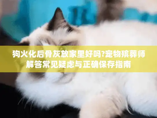 狗火化后骨灰放家里好吗?宠物殡葬师解答常见疑虑与正确保存指南