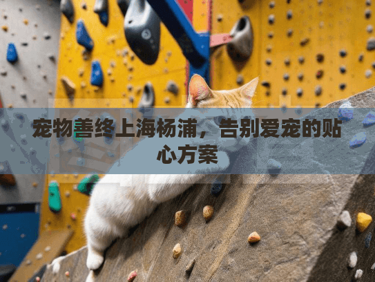 宠物善终上海杨浦,告别爱宠的贴心方案 宠物善终上海杨浦,告别爱宠的贴心方案