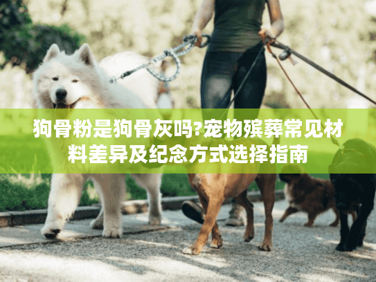 狗骨粉是狗骨灰吗?宠物殡葬常见材料差异及纪念方式选择指南