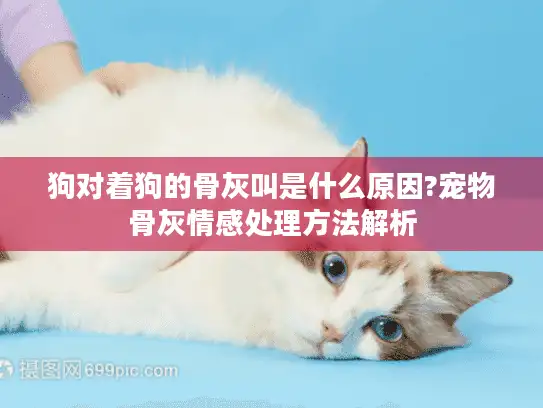 狗对着狗的骨灰叫是什么原因?宠物骨灰情感处理方法解析