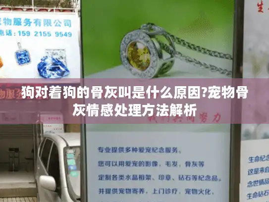 狗对着狗的骨灰叫是什么原因?宠物骨灰情感处理方法解析
