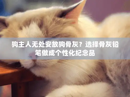 狗主人无处安放狗骨灰？选择骨灰铅笔做成个性化纪念品