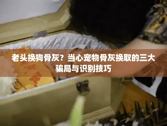 老头换狗骨灰？当心宠物骨灰换取的三大骗局与识别技巧