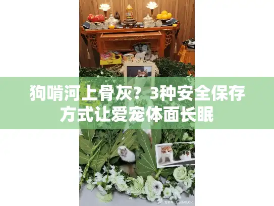 狗啃河上骨灰？3种安全保存方式让爱宠体面长眠