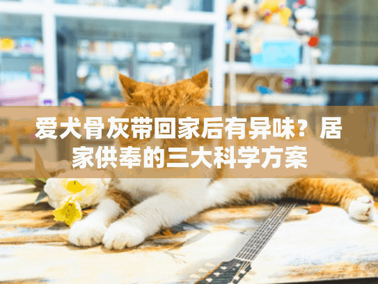 爱犬骨灰带回家后有异味？居家供奉的三大科学方案