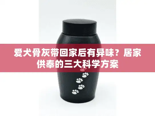 爱犬骨灰带回家后有异味？居家供奉的三大科学方案