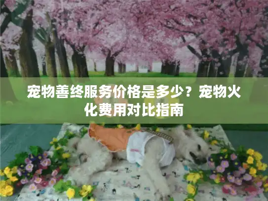 宠物善终服务价格是多少?宠物火化费用对比指南 宠物善终服务价格是多少?宠物火化费用对比指南