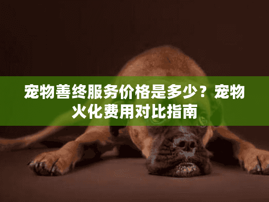 宠物善终服务价格是多少?宠物火化费用对比指南 宠物善终服务价格是多少?宠物火化费用对比指南