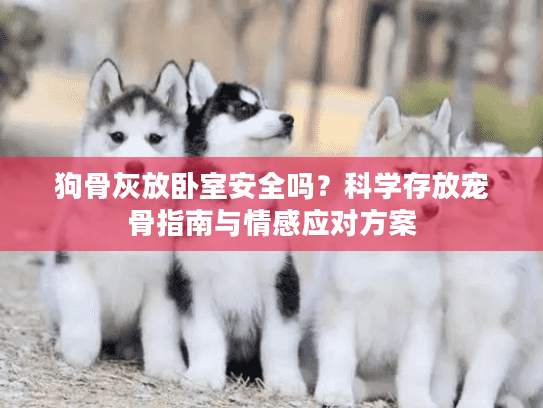 狗骨灰放卧室安全吗？科学存放宠骨指南与情感应对方案