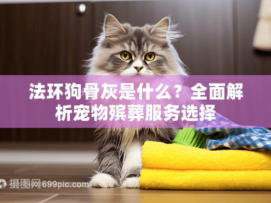 法环狗骨灰是什么？全面解析宠物殡葬服务选择