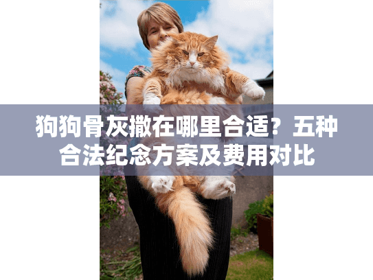 狗狗骨灰撒在哪里合适？五种合法纪念方案及费用对比