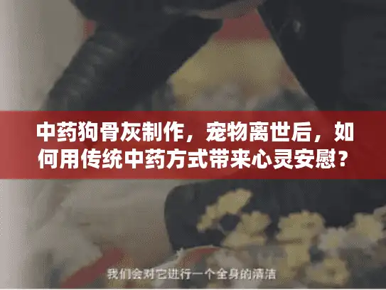 中药狗骨灰制作，宠物离世后，如何用传统中药方式带来心灵安慰？