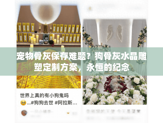 宠物骨灰保存难题？狗骨灰水晶雕塑定制方案，永恒的纪念