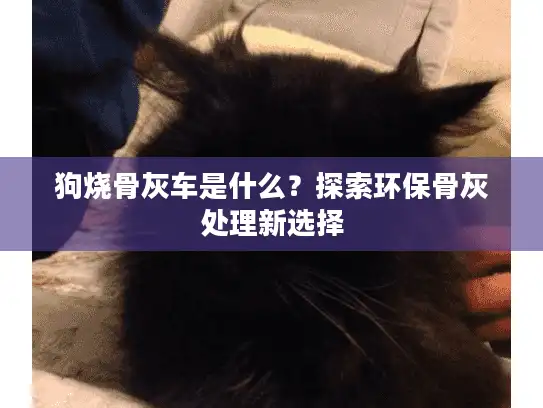狗烧骨灰车是什么？探索环保骨灰处理新选择