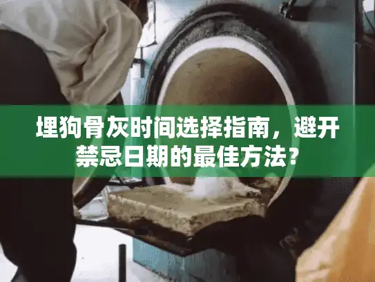 埋狗骨灰时间选择指南，避开禁忌日期的最佳方法？