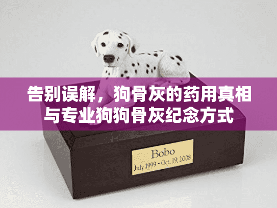告别误解,狗骨灰的药用真相与专业狗狗骨灰纪念方式 告别误解,狗骨灰的药用真相与专业狗狗骨灰纪念方式