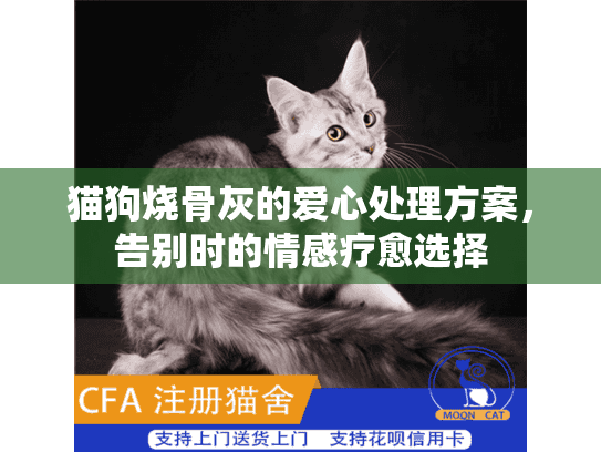 猫狗烧骨灰的爱心处理方案,告别时的情感疗愈选择 猫狗烧骨灰的爱心处理方案,告别时的情感疗愈选择
