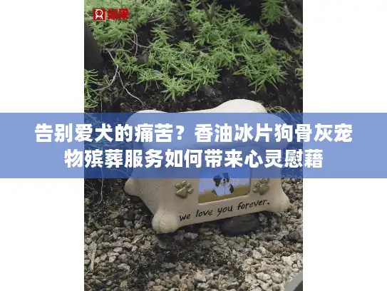 告别爱犬的痛苦？香油冰片狗骨灰宠物殡葬服务如何带来心灵慰藉