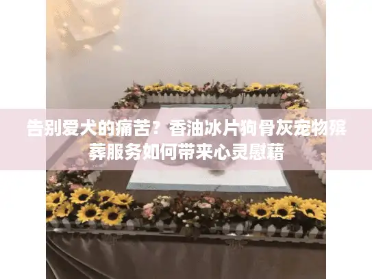 告别爱犬的痛苦？香油冰片狗骨灰宠物殡葬服务如何带来心灵慰藉