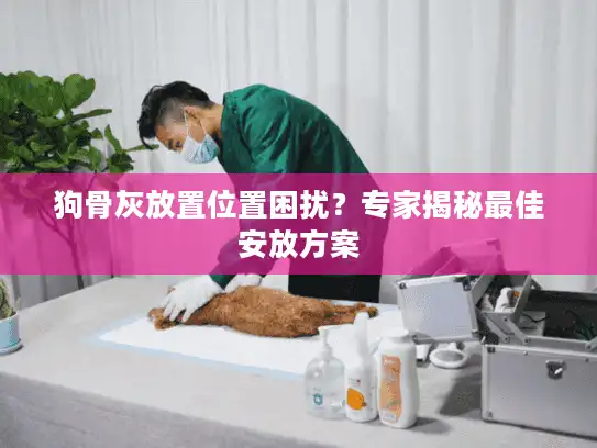 狗骨灰放置位置困扰？专家揭秘最佳安放方案