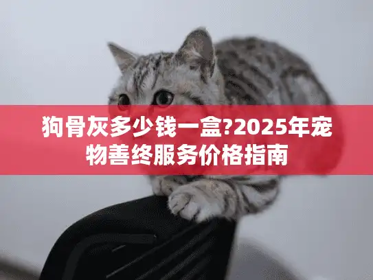 狗骨灰多少钱一盒?2025年宠物善终服务价格指南