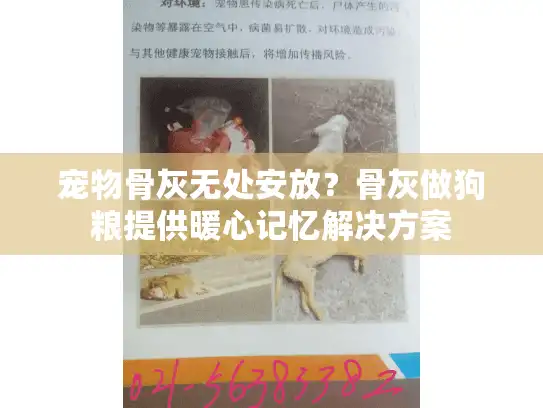 宠物骨灰无处安放？骨灰做狗粮提供暖心记忆解决方案