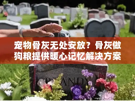 宠物骨灰无处安放？骨灰做狗粮提供暖心记忆解决方案