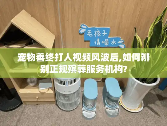 宠物善终打人视频风波后,如何辨别正规殡葬服务机构?