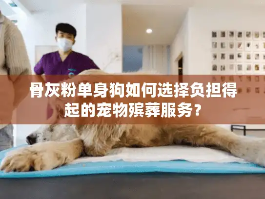 骨灰粉单身狗如何选择负担得起的宠物殡葬服务？