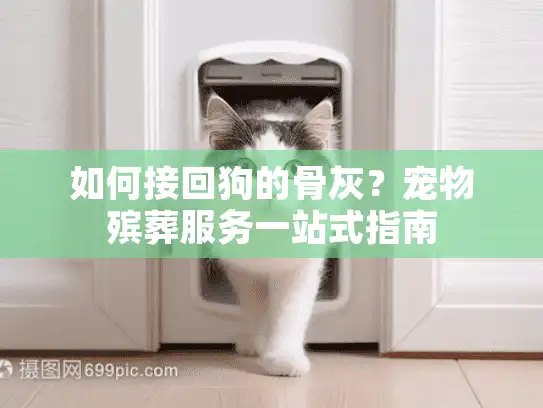 如何接回狗的骨灰？宠物殡葬服务一站式指南