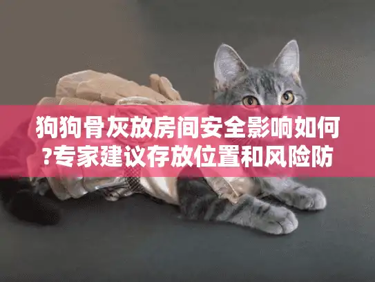 狗狗骨灰放房间安全影响如何?专家建议存放位置和风险防范