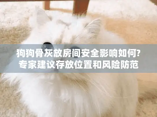 狗狗骨灰放房间安全影响如何?专家建议存放位置和风险防范