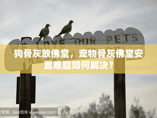 狗骨灰放佛堂,宠物骨灰佛堂安置难题如何解决? 狗骨灰放佛堂,宠物骨灰佛堂安置难题如何解决?