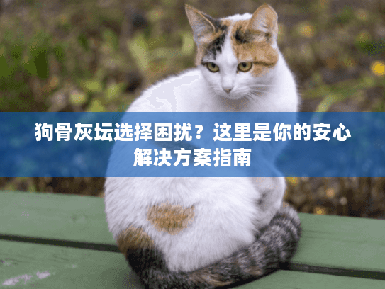 狗骨灰坛选择困扰？这里是你的安心解决方案指南