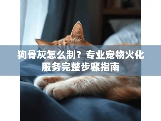 狗骨灰怎么制？专业宠物火化服务完整步骤指南