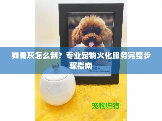 狗骨灰怎么制？专业宠物火化服务完整步骤指南
