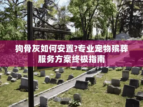 狗骨灰如何安置?专业宠物殡葬服务方案终极指南