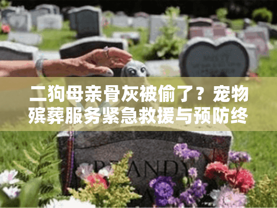 二狗母亲骨灰被偷了？宠物殡葬服务紧急救援与预防终极指南