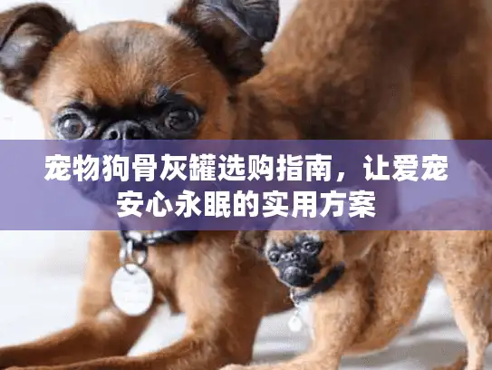 宠物狗骨灰罐选购指南，让爱宠安心永眠的实用方案