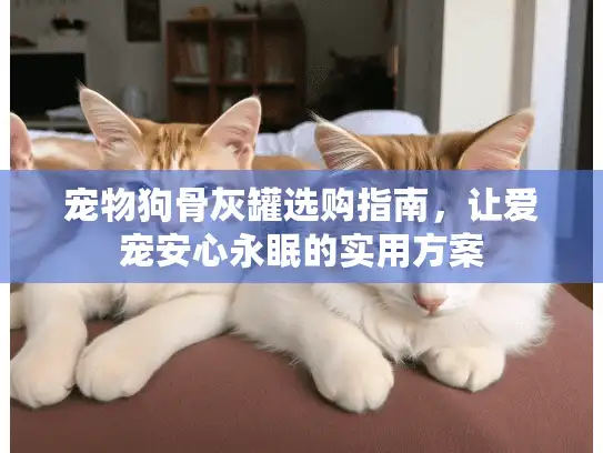 宠物狗骨灰罐选购指南，让爱宠安心永眠的实用方案