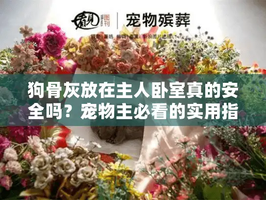 狗骨灰放在主人卧室真的安全吗？宠物主必看的实用指南
