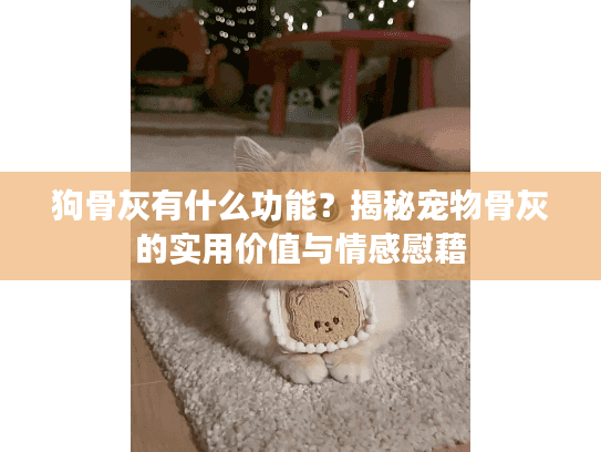 狗骨灰有什么功能？揭秘宠物骨灰的实用价值与情感慰藉
