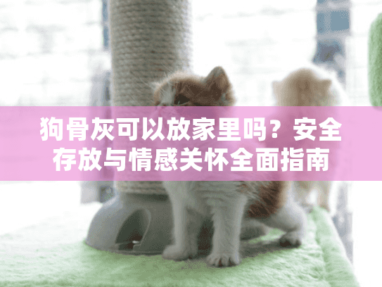 狗骨灰可以放家里吗？安全存放与情感关怀全面指南